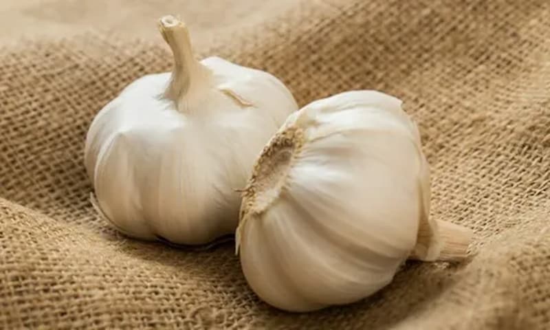 تصویر 2 از سیر کرمان سفید طعمی اصیل و تازه در هر دستور آشپزی